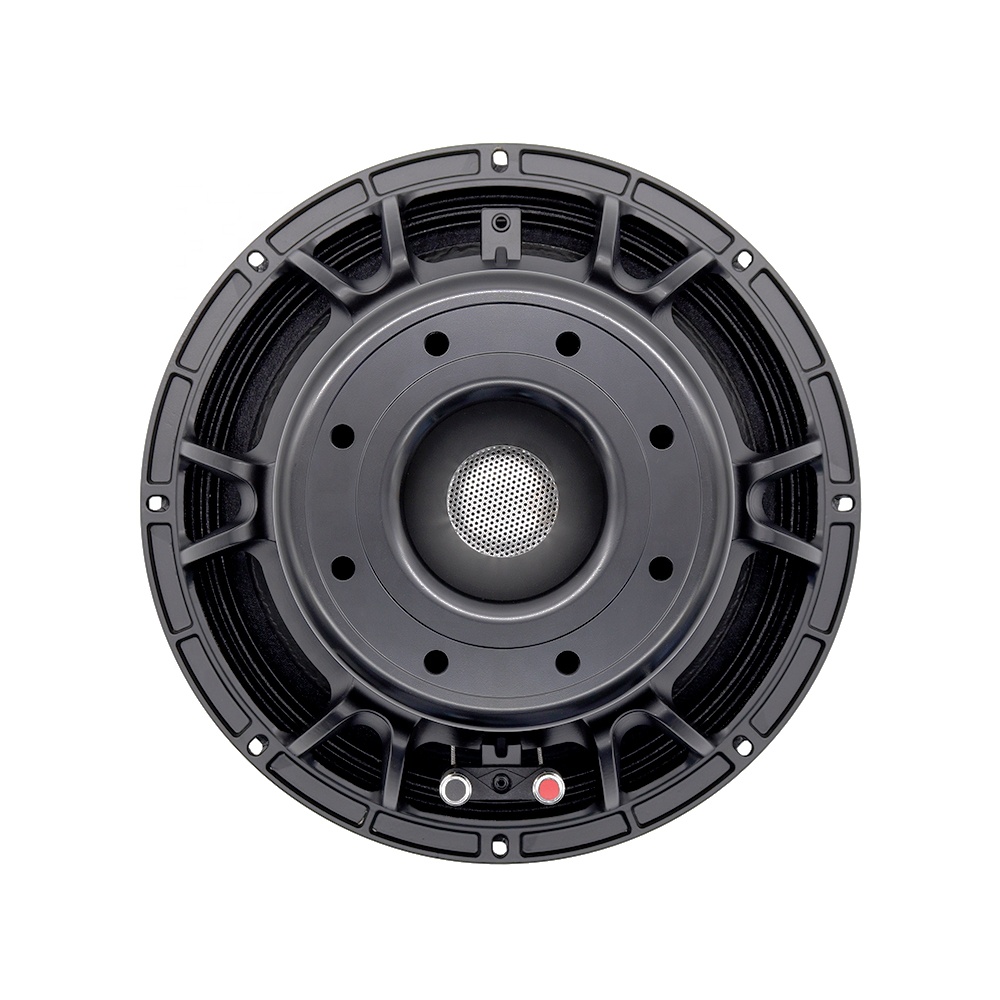 Speakers - 12DS Pro Audio Equipment 12'' Lautsprecher