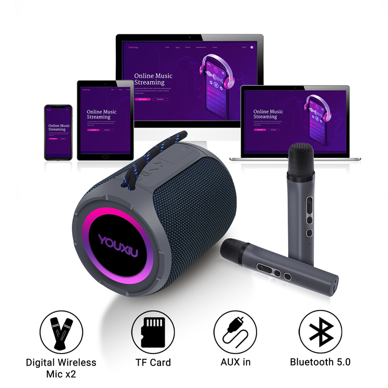 40 W tragbarer Bluetooth-Lauts – Portable Bluetooth Speaker Waterproof Ipx7 Bewertung und Preis