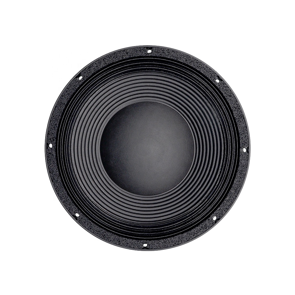 12DS Pro Audio Equipment 12''  – Speakers Bewertung und Preis