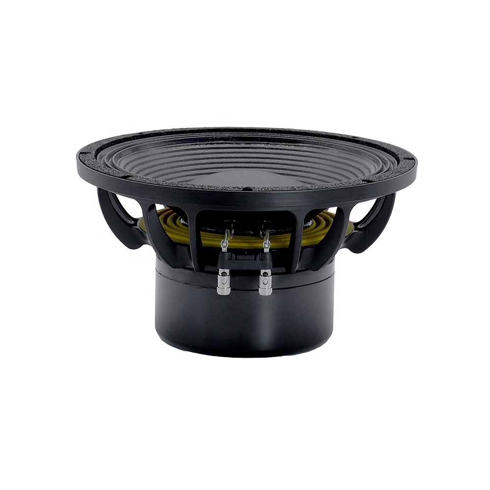 12DS Pro Audio Equipment 12''  – Speakers Bewertung und Preis