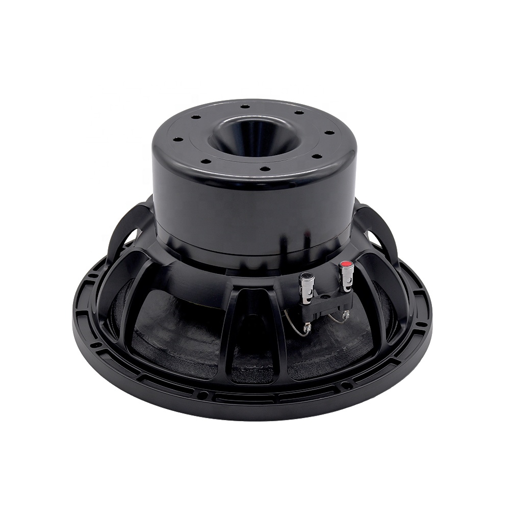 12DS Pro Audio Equipment 12''  – Speakers Bewertung und Preis