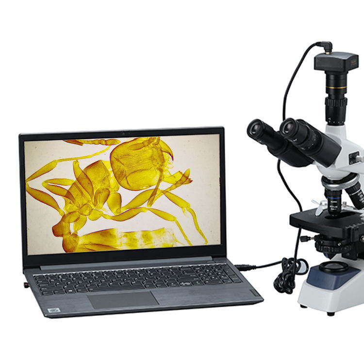 Digitales Biologisches Videomi – Cameras Bewertung und Preis
